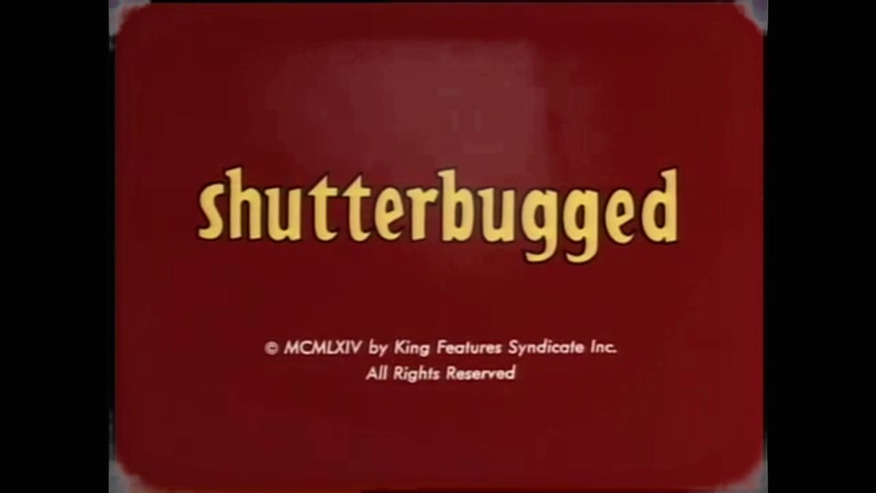 Beetle Bailey - Shutterbugged (1963) 16mm Sound