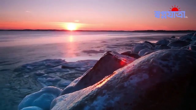 See how much the penguins have to fight for the survival of the south pole! | Dream journey| দক্ষিণ মেরুতে পেঙ্গুইনদের বেঁচে থাকার জন্য কি পরিমাণ যুদ্ধ করতে হয় দেখুন! | স্বপ্ন যাত্রা|