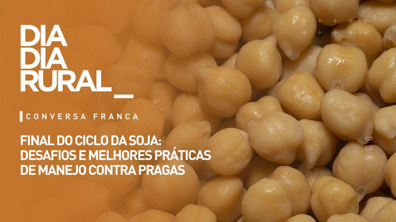 Final do ciclo da soja: desafios e melhores práticas de manejo contra pragas