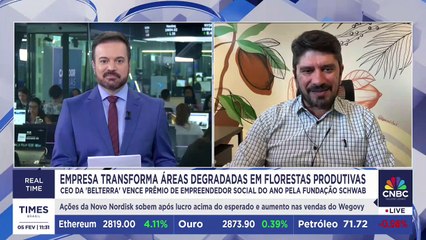 Essa empresa transformou áreas degradadas em florestas produtivas; CEO da Belterra relata estratégia