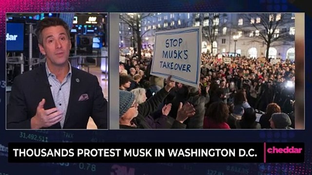 Thousands Protest Musk in Washington D.C.