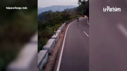 Un touriste allemand à scooter tué par un éléphant sauvage en Inde