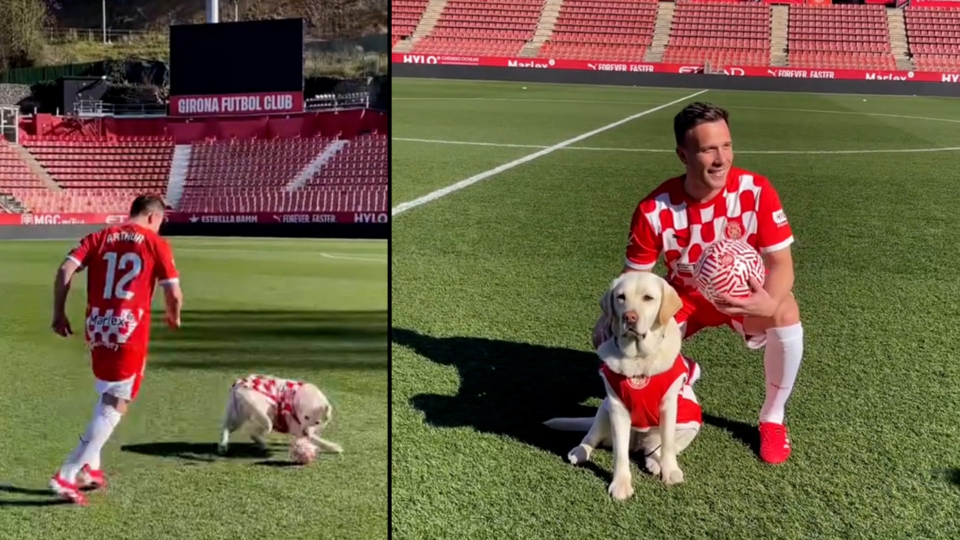 Algo indito en la presentacin de Arthur Melo... un perro dando toques