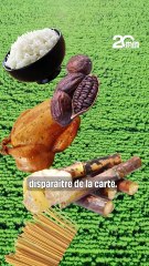 Loi d'orientation agricole : En cas de coup dur, la France pourrait-elle être autosuffisante ?