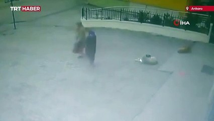Ankara'da başıboş sokak köpeğinin saldırdığı yaşlı kadın yaralandı