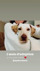 Laure Manaudou, Instagram