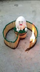 animation funny video egg video just for fun