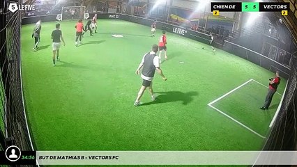 But de Mathias B - Vectors Fc