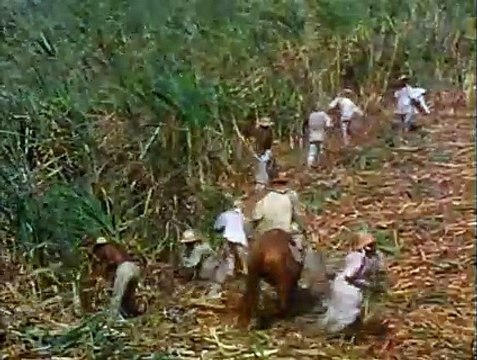 Historia de la Humanidad - Los Esclavos: Un Viaje a Través del Tiempo