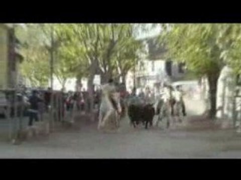 Bandido Marsillargues 1er mai 2008