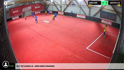 But de Amina M - Bird Bird Féminine