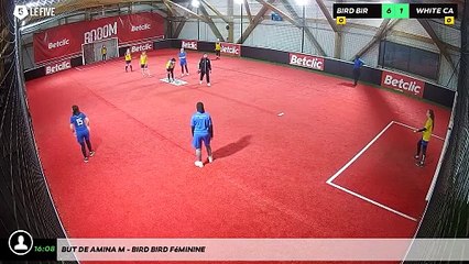 But de Amina M - Bird Bird Féminine