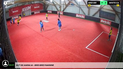 But de Amina M - Bird Bird Féminine