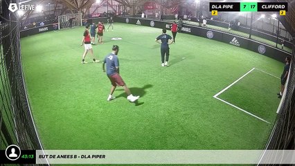 But de Anees B - Dla Piper