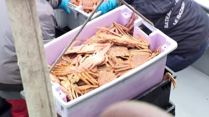 Exportation: des PME veulent favoriser les échanges interprovinciaux