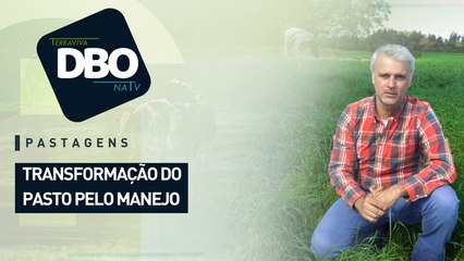 Pastagens: transformação do pasto pelo manejo