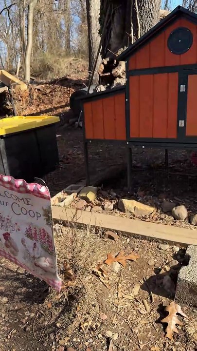 NYC firefighters cluck back at egg prices with backyard chicken coops