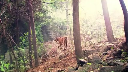 Film Seni Bela Diri Para tahanan menghadapi eksekusi di depan umum, sehingga membuat marah seorang