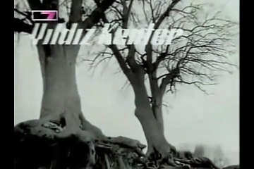 Ağaçlar Ayakta Ölür