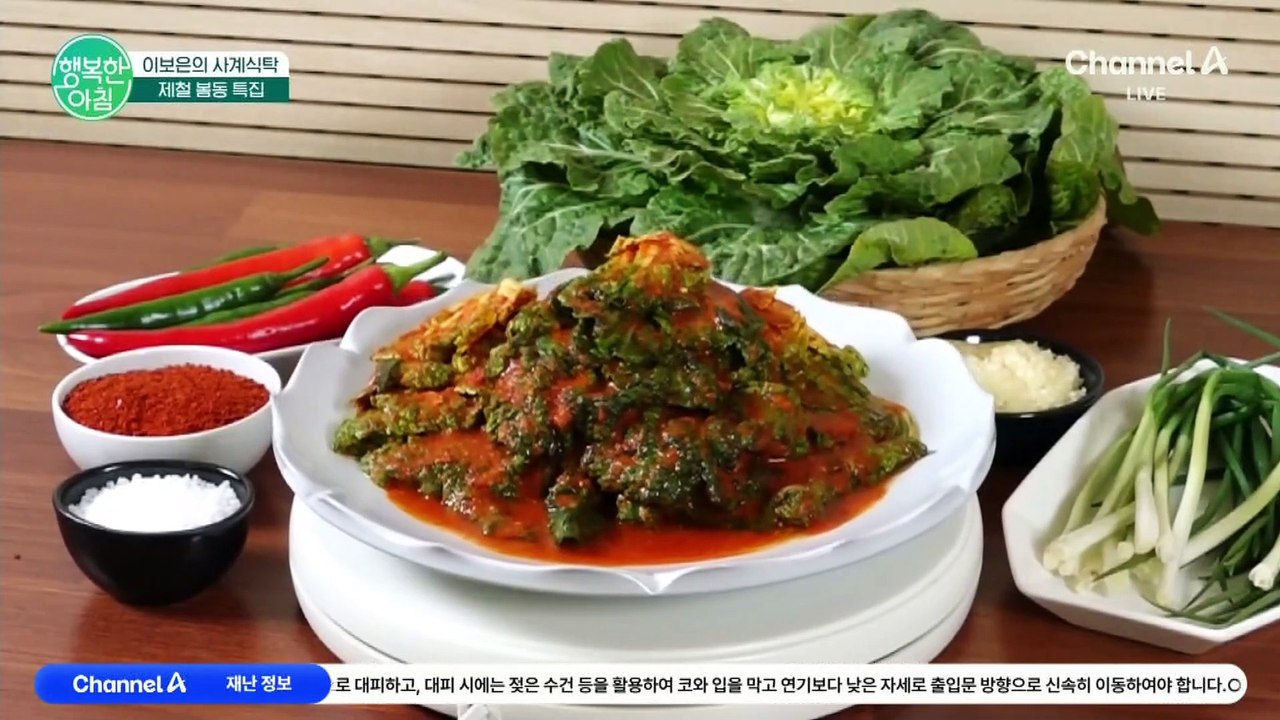 봄동 포기김치는 이것만 기억하세요! 절임 꿀팁과 실패 없는 양념 레시피★ #봄동포기김치