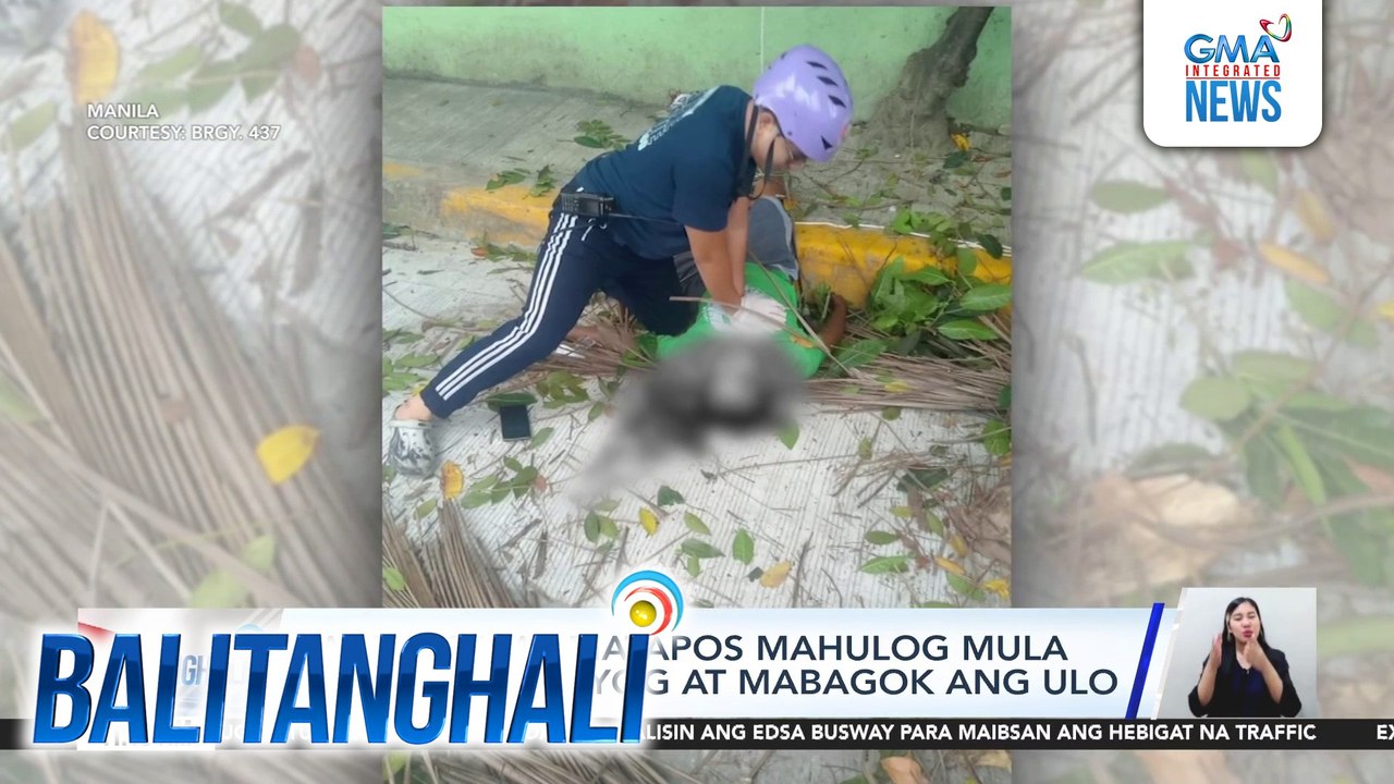Lalaki, patay matapos mahulog mula sa puno ng niyog at mabagok ang ulo | Balitanghali