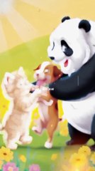 Friendship of little cat,dog and panda 😄