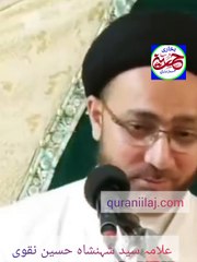 مولا حسین کی ولادت پر فرشتے نبی پاک کو مبارکباد دیتے ہوئے کیا مانگا