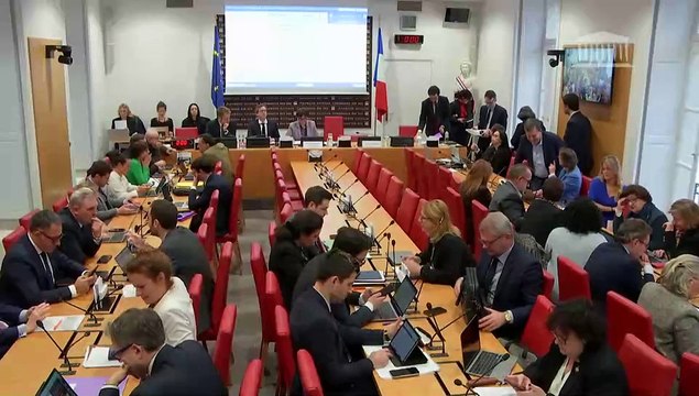 Commission des lois : Examen de diverses propositions de loi - Mercredi 5 février 2025