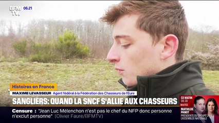 Normandie: la SNCF s'associe aux chasseurs pour détecter les sangliers, impliqués dans plusieurs collisions avec des trains