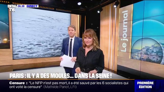 Paris: la présence de trois espèces de moules d'eau douce menacées de disparition attestée dans la Seine