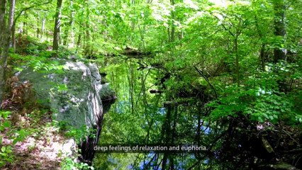 ASMR & Nature Sounds: Ultimate Relaxation Benefits