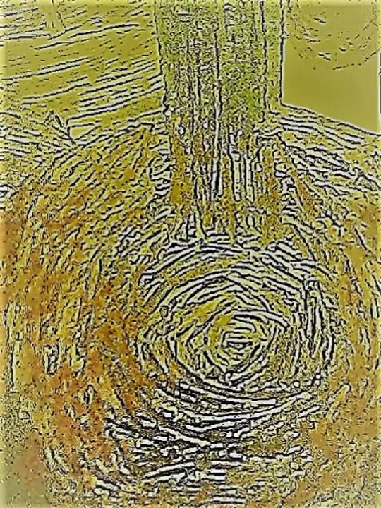 4th Lute Suite by Bach,the Prelude is a short version