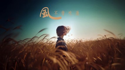 樊琦【風不曾吹過】Official Lyric Video
