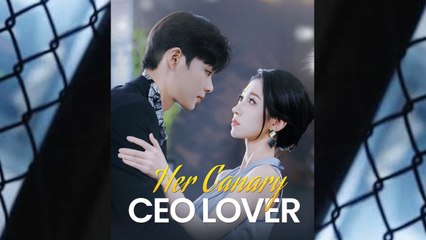 Her Canary CEO Lover Chinese Goodshort