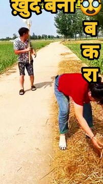 🤣🤪 हो गया ऐसे से कैसा... #funny #comedy #shorts #funnyshort #comedyshortscomedy videos shorts funny shorts viral shorts funny comedy videos