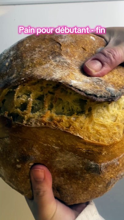 Voilà le résultat du pain pour les débutant, il est bien croustillant #levain #painaulevain #painfacile #sourdough #sourdougbread