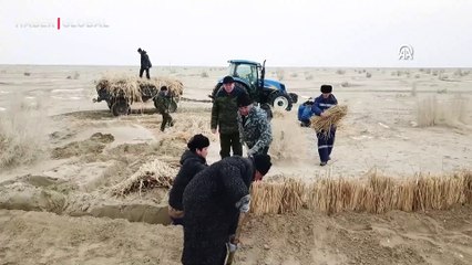 Dünyanın dördüncü büyük gölüydü, Aral çöle dönüştü