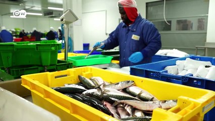 Essen: Fisch im Abo in Frankreich