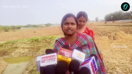 গৃহপালিত পশুর সঙ্গে ধানক্ষেতে ঘুরে বেড়াচ্ছে হরিণ! বিরল দৃশ্য পাথরপ্রতিমায়