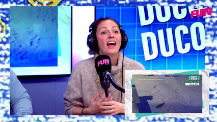 Ducon Ducon du 06 février - Aux Pays-Bas, elle se retrouve nez à nez avec un phoque dans sa chambre d'hôtel