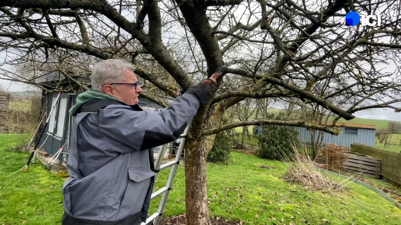 Roland Motte, jardinier : les soins des arbres fruitiers en hiver