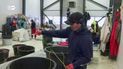 US hungry for Greenland's raw materials