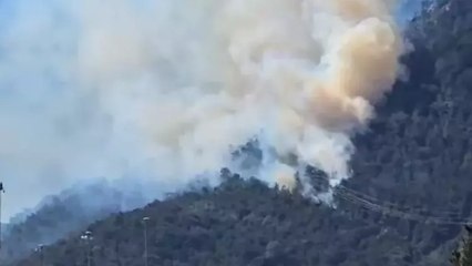 Antalya’da ormanlık alanda yangın