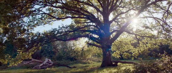 Bridget Jones - Un amore di ragazzo, il trailer ufficiale