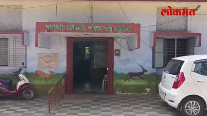 विहिरीत पडलेल्या बिबट्याला अ