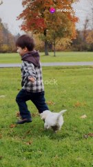 Joyful Garden Adventure with Cute Animal