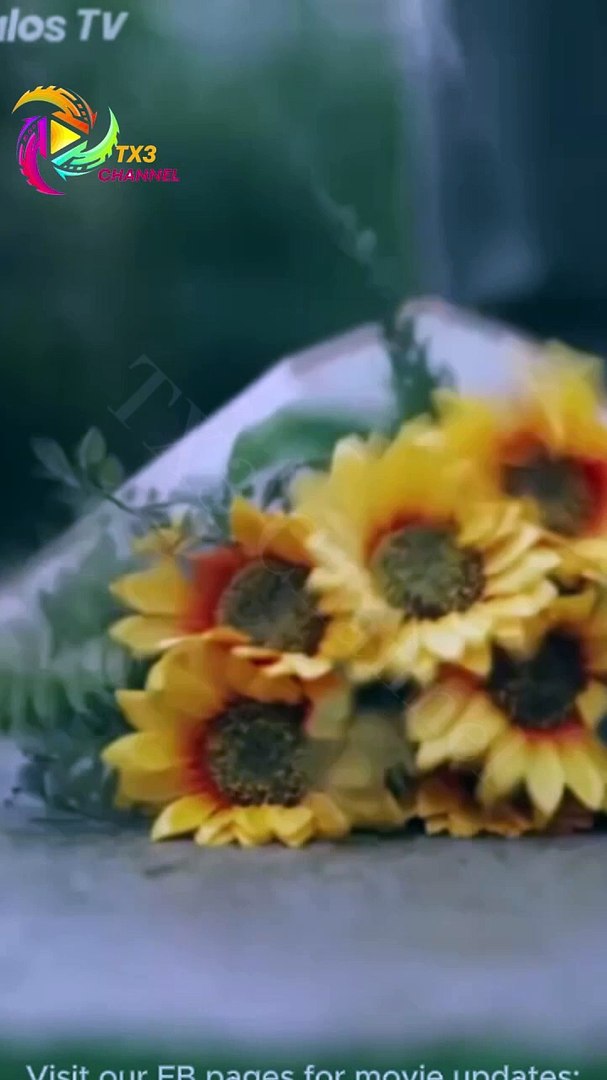 ⁣The Oscar Winner Is My Ex Full Drama