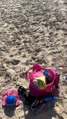 Insetos invadem praia de SC e "expulsam" banhistas da areia