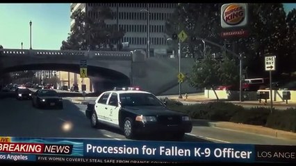 MUZZLE - Full Movie - Aaron Eckhart, Stephen Lang, Penelope Mitchell - Hindi Dubbed Movie