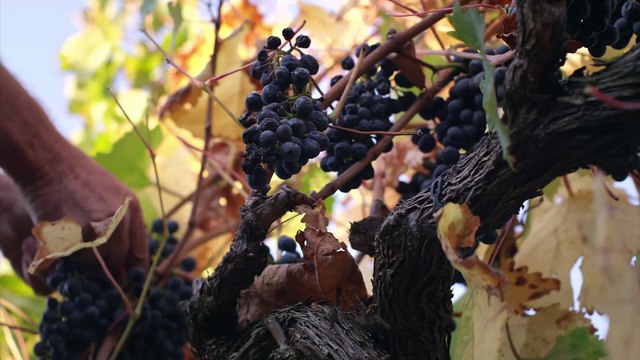 Dave Stotts- Jesus Returns to Galilee - Drive Thru History - The Gospels - Episode 6